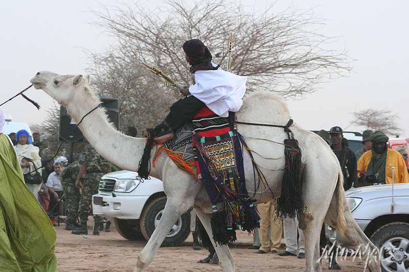 Mud Maps Africa Gaddafi camel party 3479